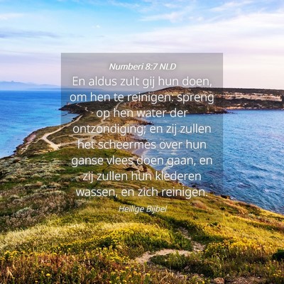Picture 04 - Numberi 8:7 NLD - En aldus zult gij hun doen, om hen te reinigen: - Bible Verse Picture