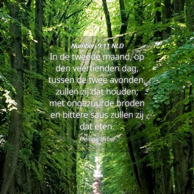 Picture 04 - Numberi 9:11 NLD - In de tweede maand, op den veertienden dag, - Bible Verse Picture