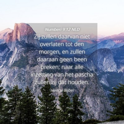 Picture 04 - Numberi 9:12 NLD - Zij zullen daarvan niet overlaten tot den morgen, - Bible Verse Picture