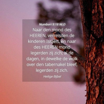 Picture 04 - Numberi 9:18 NLD - Naar den mond des HEEREN, verreisden de kinderen - Bible Verse Picture
