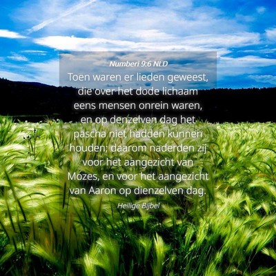 Picture 04 - Numberi 9:6 NLD - Toen waren er lieden geweest, die over het dode - Bible Verse Picture