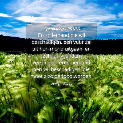 Picture 04 - Openbaring 11:5 NLD - En zo iemand die wil beschadigen, een vuur zal - Bible Verse Picture