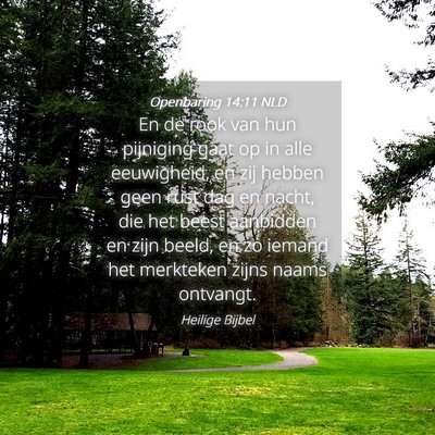 Picture 04 - Openbaring 14:11 NLD - En de rook van hun pijniging gaat op in alle - Bible Verse Picture