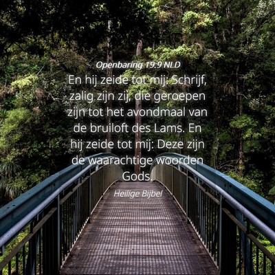 Picture 04 - Openbaring 19:9 NLD - En hij zeide tot mij: Schrijf, zalig zijn zij, - Bible Verse Picture