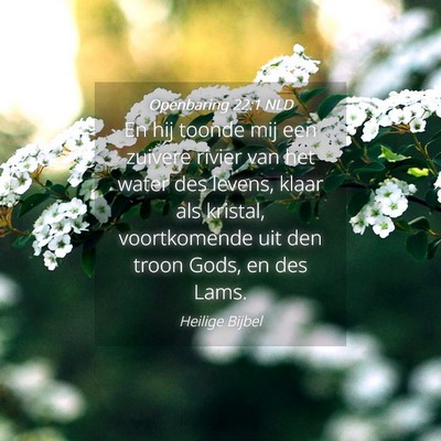 Picture 04 - Openbaring 22:1 NLD - En hij toonde mij een zuivere rivier van het - Bible Verse Picture