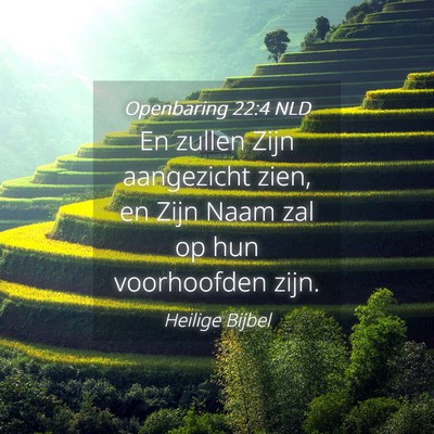 Picture 04 - Openbaring 22:4 NLD - En zullen Zijn aangezicht zien, en Zijn Naam zal - Bible Verse Picture