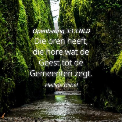 Picture 04 - Openbaring 3:13 NLD - Die oren heeft, die hore wat de Geest tot de - Bible Verse Picture