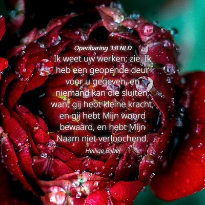 Picture 04 - Openbaring 3:8 NLD - Ik weet uw werken; zie, Ik heb een geopende deur - Bible Verse Picture