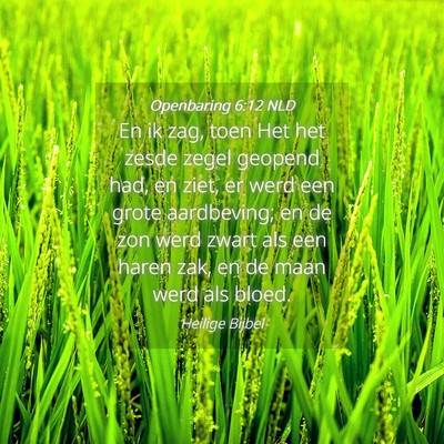 Picture 04 - Openbaring 6:12 NLD - En ik zag, toen Het het zesde zegel geopend had, - Bible Verse Picture