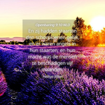 Picture 04 - Openbaring 9:10 NLD - En zij hadden staarten den schorpioenen gelijk, - Bible Verse Picture