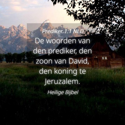 Picture 04 - Prediker 1:1 NLD - De woorden van den prediker, den zoon van David, - Bible Verse Picture