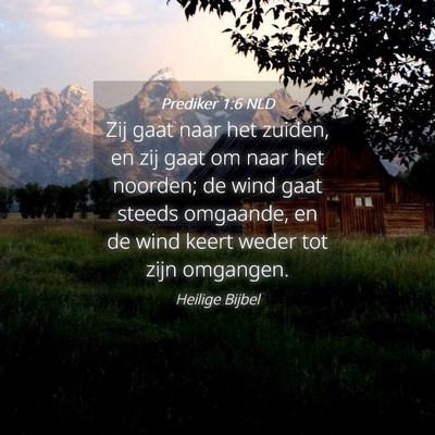 Picture 04 - Prediker 1:6 NLD - Zij gaat naar het zuiden, en zij gaat om naar het - Bible Verse Picture