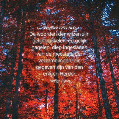 Picture 04 - Prediker 12:11 NLD - De woorden der wijzen zijn gelijk prikkelen, en - Bible Verse Picture