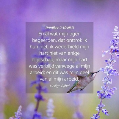 Picture 04 - Prediker 2:10 NLD - En al wat mijn ogen begeerden, dat onttrok ik hun - Bible Verse Picture
