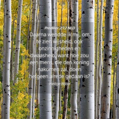 Picture 04 - Prediker 2:12 NLD - Daarna wendde ik mij, om te zien wijsheid, ook - Bible Verse Picture