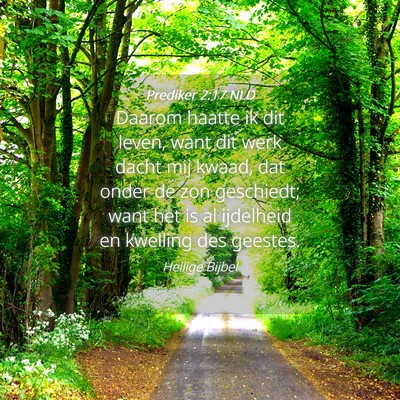 Picture 04 - Prediker 2:17 NLD - Daarom haatte ik dit leven, want dit werk dacht - Bible Verse Picture