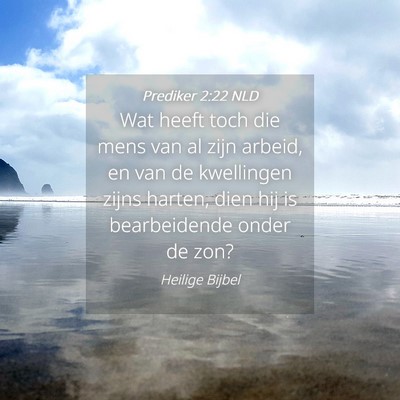 Picture 04 - Prediker 2:22 NLD - Wat heeft toch die mens van al zijn arbeid, en - Bible Verse Picture