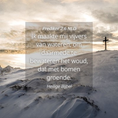 Picture 04 - Prediker 2:6 NLD - Ik maakte mij vijvers van wateren, om daarmede te - Bible Verse Picture