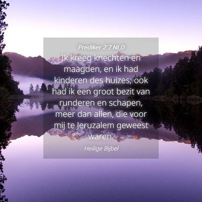 Picture 04 - Prediker 2:7 NLD - Ik kreeg knechten en maagden, en ik had kinderen - Bible Verse Picture