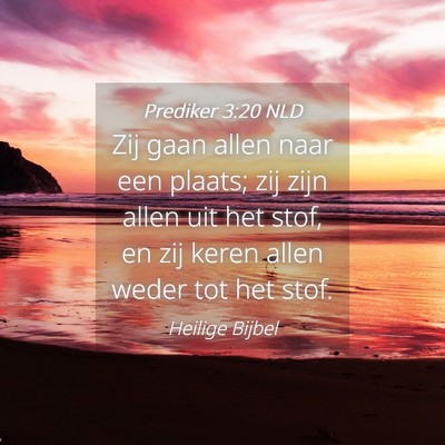 Picture 04 - Prediker 3:20 NLD - Zij gaan allen naar een plaats; zij zijn allen - Bible Verse Picture