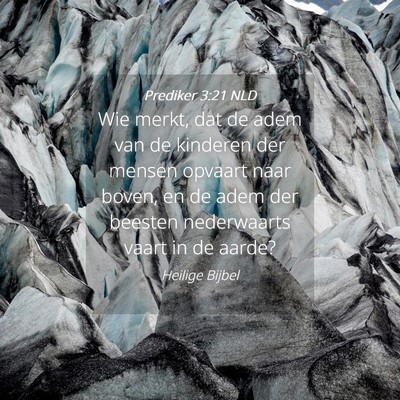 Picture 04 - Prediker 3:21 NLD - Wie merkt, dat de adem van de kinderen der mensen - Bible Verse Picture