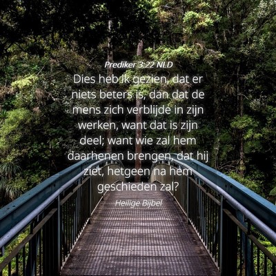 Picture 04 - Prediker 3:22 NLD - Dies heb ik gezien, dat er niets beters is, dan - Bible Verse Picture