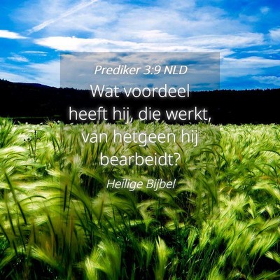 Picture 04 - Prediker 3:9 NLD - Wat voordeel heeft hij, die werkt, van hetgeen - Bible Verse Picture