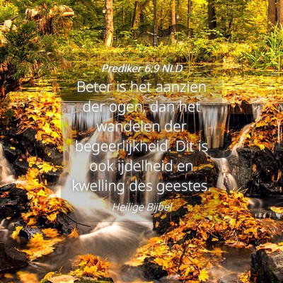Picture 04 - Prediker 6:9 NLD - Beter is het aanzien der ogen, dan het wandelen - Bible Verse Picture