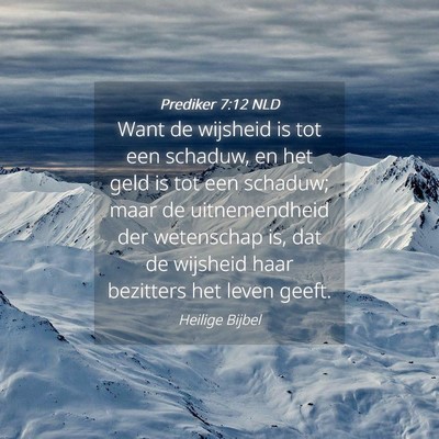 Picture 04 - Prediker 7:12 NLD - Want de wijsheid is tot een schaduw, en het geld - Bible Verse Picture