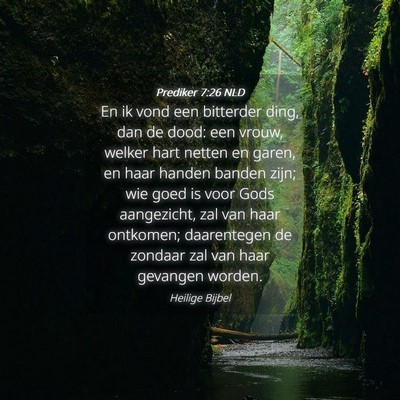 Picture 04 - Prediker 7:26 NLD - En ik vond een bitterder ding, dan de dood: een - Bible Verse Picture