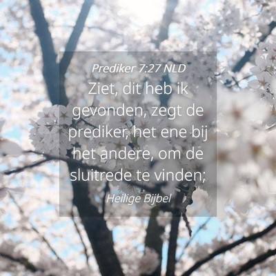 Picture 04 - Prediker 7:27 NLD - Ziet, dit heb ik gevonden, zegt de prediker, het - Bible Verse Picture