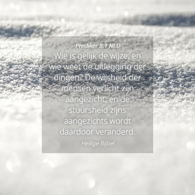 Picture 04 - Prediker 8:1 NLD - Wie is gelijk de wijze, en wie weet de uitlegging - Bible Verse Picture