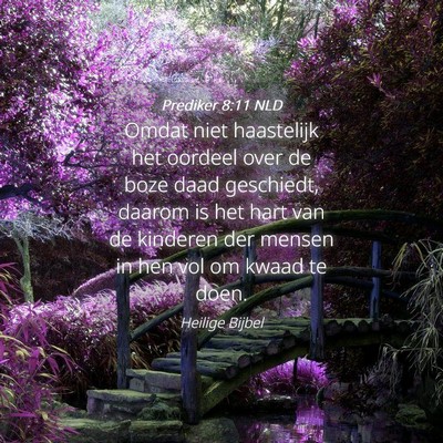 Picture 04 - Prediker 8:11 NLD - Omdat niet haastelijk het oordeel over de boze - Bible Verse Picture