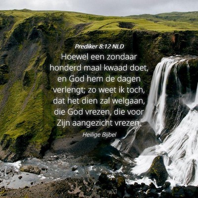 Picture 04 - Prediker 8:12 NLD - Hoewel een zondaar honderd maal kwaad doet, en - Bible Verse Picture