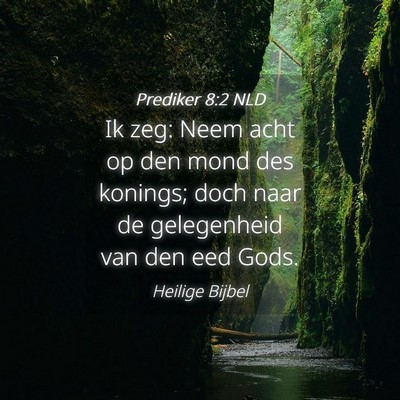 Picture 04 - Prediker 8:2 NLD - Ik zeg: Neem acht op den mond des konings; doch - Bible Verse Picture