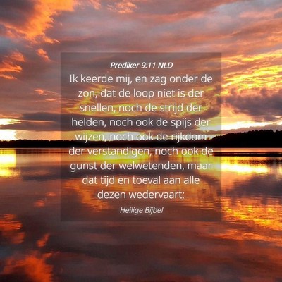 Picture 04 - Prediker 9:11 NLD - Ik keerde mij, en zag onder de zon, dat de loop - Bible Verse Picture