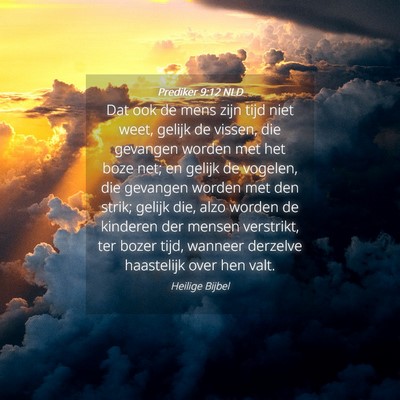 Picture 04 - Prediker 9:12 NLD - Dat ook de mens zijn tijd niet weet, gelijk de - Bible Verse Picture