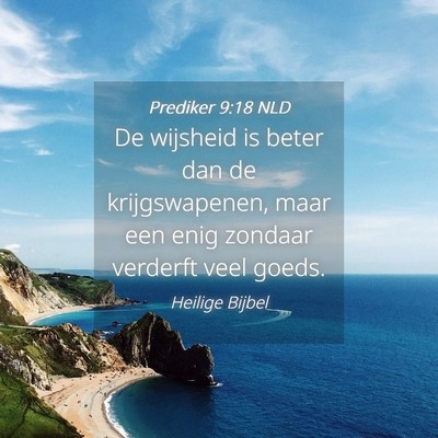 Picture 04 - Prediker 9:18 NLD - De wijsheid is beter dan de krijgswapenen, maar - Bible Verse Picture