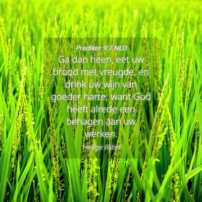 Picture 04 - Prediker 9:7 NLD - Ga dan heen, eet uw brood met vreugde, en drink - Bible Verse Picture