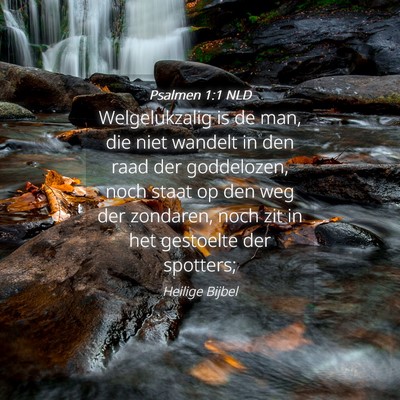 Picture 04 - Psalmen 1:1 NLD - Welgelukzalig is de man, die niet wandelt in den - Bible Verse Picture