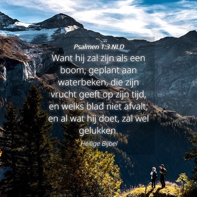 Picture 04 - Psalmen 1:3 NLD - Want hij zal zijn als een boom, geplant aan - Bible Verse Picture
