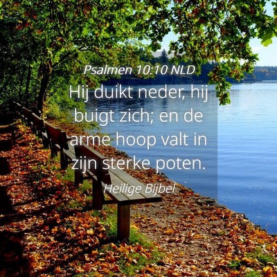 Picture 04 - Psalmen 10:10 NLD - Hij duikt neder, hij buigt zich; en de arme hoop - Bible Verse Picture