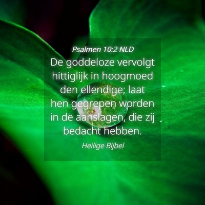 Picture 04 - Psalmen 10:2 NLD - De goddeloze vervolgt hittiglijk in hoogmoed den - Bible Verse Picture