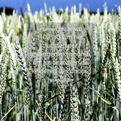 Picture 04 - Psalmen 102:20 NLD - (102:21) Om het zuchten der gevangenen te horen, - Bible Verse Picture