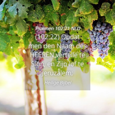 Picture 04 - Psalmen 102:21 NLD - (102:22) Opdat men den Naam des HEEREN vertelle - Bible Verse Picture