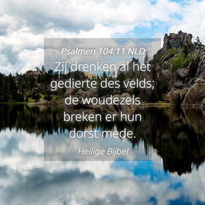 Picture 04 - Psalmen 104:11 NLD - Zij drenken al het gedierte des velds; de - Bible Verse Picture