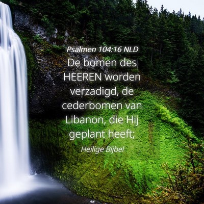 Picture 04 - Psalmen 104:16 NLD - De bomen des HEEREN worden verzadigd, de - Bible Verse Picture