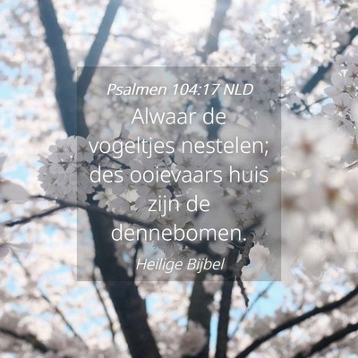 Picture 04 - Psalmen 104:17 NLD - Alwaar de vogeltjes nestelen; des ooievaars huis - Bible Verse Picture