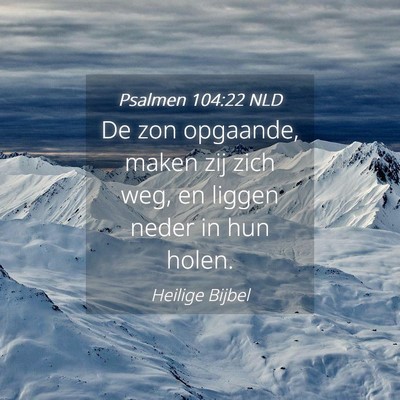 Picture 04 - Psalmen 104:22 NLD - De zon opgaande, maken zij zich weg, en liggen - Bible Verse Picture