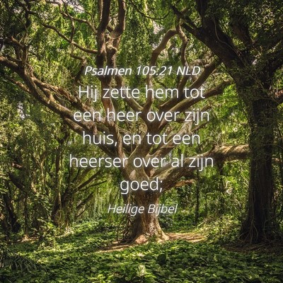 Picture 04 - Psalmen 105:21 NLD - Hij zette hem tot een heer over zijn huis, en tot - Bible Verse Picture